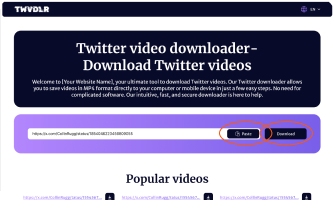 Paste Tweet URL into Twitter downloader input box
